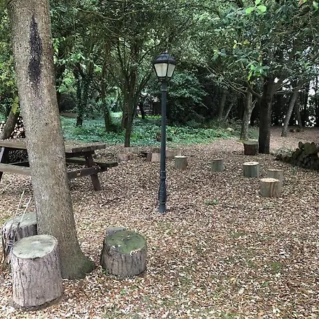 Cabana De Ensueno En El Bosque Y Junto Al Mar Miengo Exterior photo