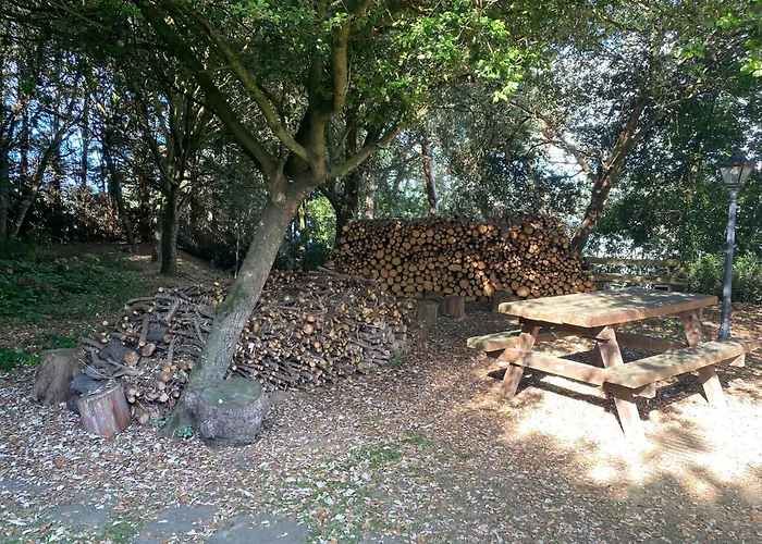 Cabana De Ensueno En El Bosque Y Junto Al Mar