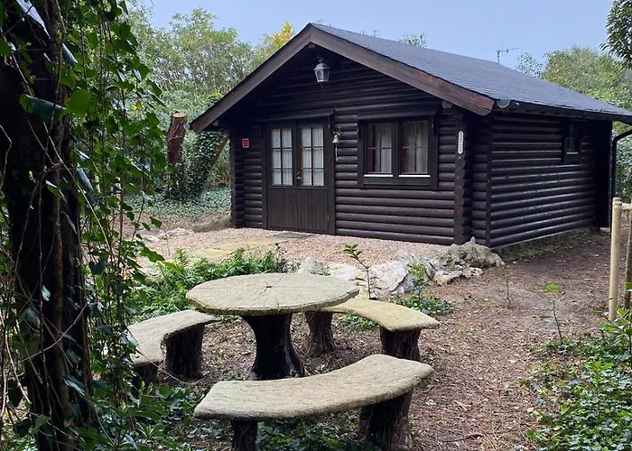 Cabana De Ensueno En El Bosque Y Junto Al Mar