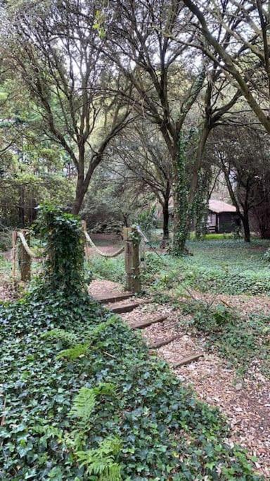 Apartment De Ensueno En El Bosque Y Junto Al Mar *
