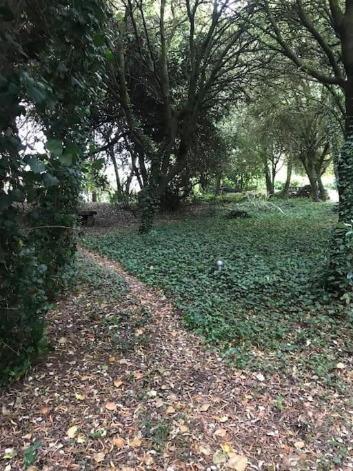 De Ensueno En El Bosque Y Junto Al Mar Apartment *