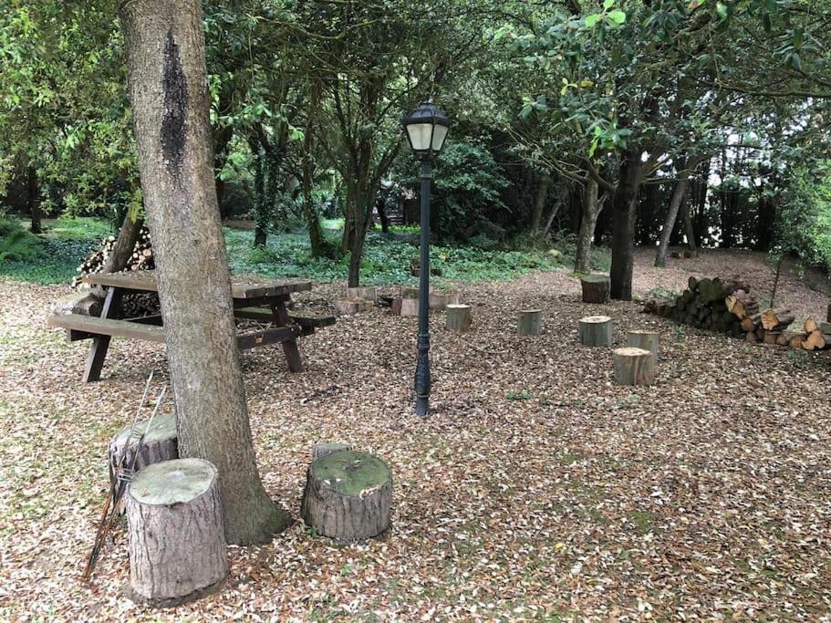 Apartment De Ensueno En El Bosque Y Junto Al Mar