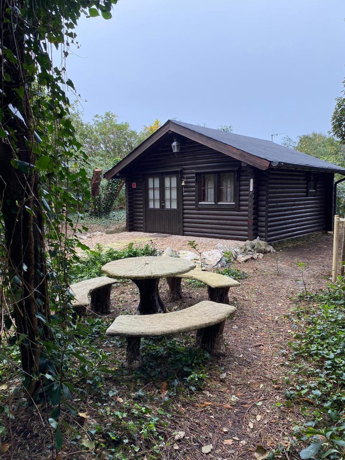De Ensueno En El Bosque Y Junto Al Mar Apartment